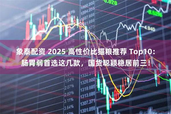 象泰配资 2025 高性价比猫粮推荐 Top10：肠胃弱首选这几款，国货聪颖稳居前三！