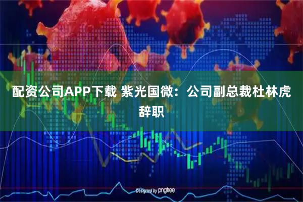 配资公司APP下载 紫光国微：公司副总裁杜林虎辞职