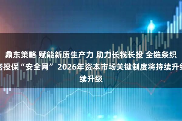 鼎东策略 赋能新质生产力 助力长钱长投 全链条织密投保“安全网” 2026年资本市场关键制度将持续升级